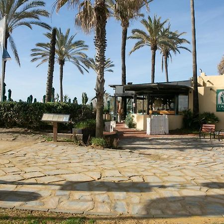 Apartamentos Martalia Marbella Banus エクステリア 写真